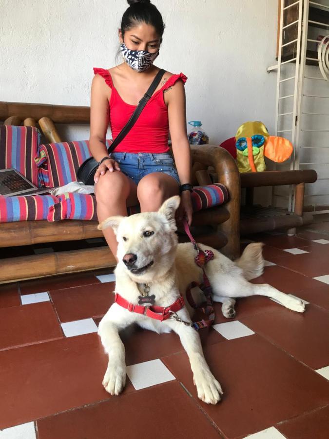 Aluna Casa Y Cafe Hostal Santa Marta (Magdalena)