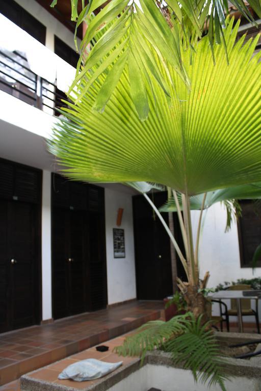Hostal Aluna Casa Y Cafe